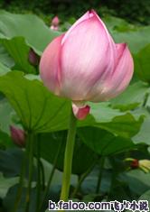 乐鱼在线官网平台:产品3